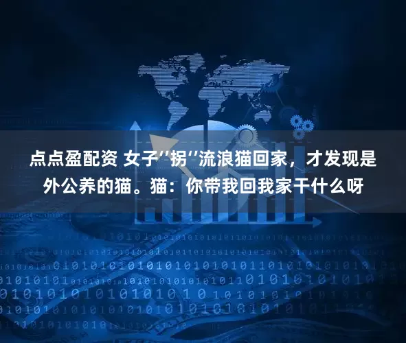 点点盈配资 女子‘’拐‘’流浪猫回家，才发现是外公养的猫。猫：你带我回我家干什么呀